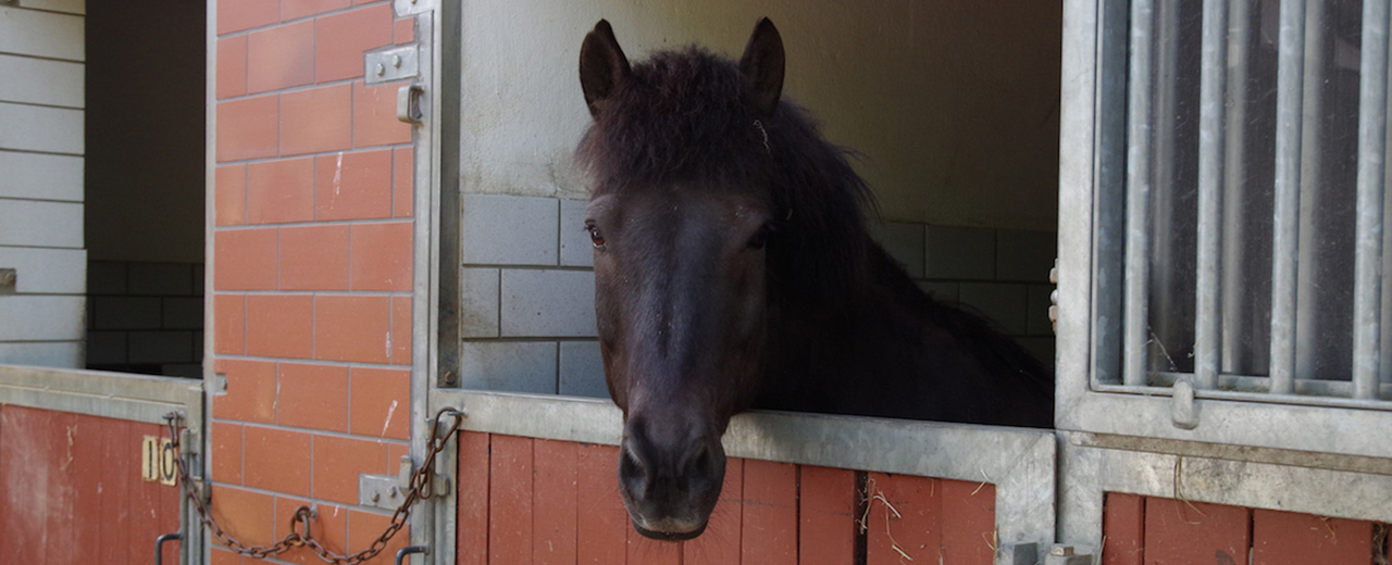 Praxis Saasen von Tierarztpraxis Bossler