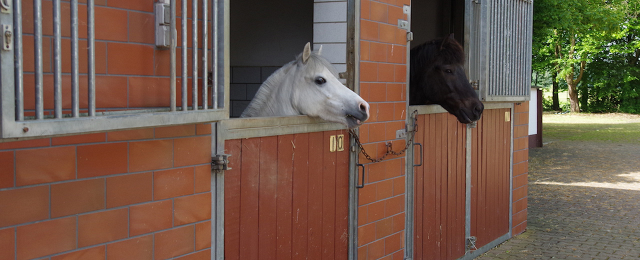 Anfahrt zur Tierarztpraxis Bossler